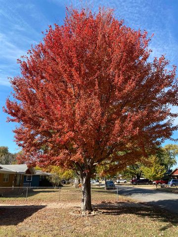 523 Alexander Dr, Haysville, KS 67060