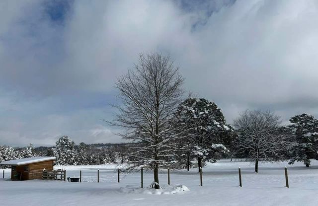 2393 Crow Mountain Road, Russellville, AR 72802