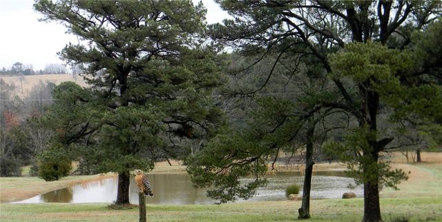2393 Crow Mountain Road, Russellville, AR 72802