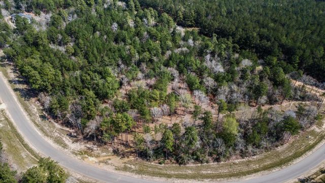 15370 Red Hawk Road, Willis, TX 77378