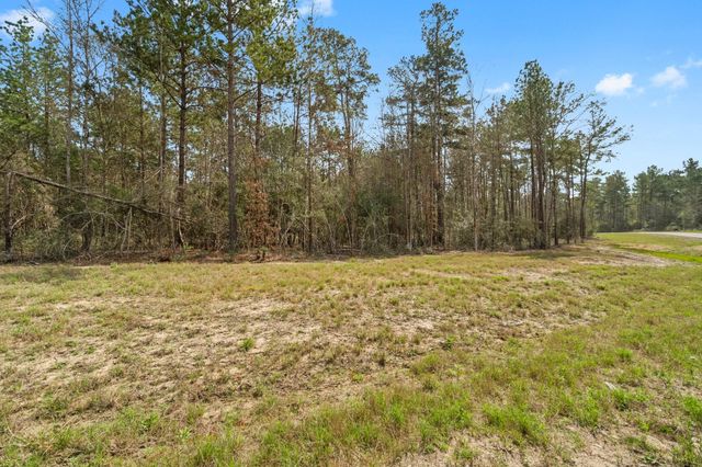 15370 Red Hawk Road, Willis, TX 77378
