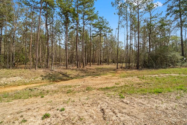 15370 Red Hawk Road, Willis, TX 77378