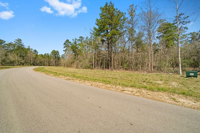 15370 Red Hawk Road, Willis, TX 77378