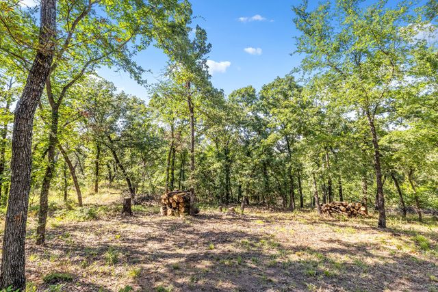 1020 Oak View Drive, Oak Point, TX 75068