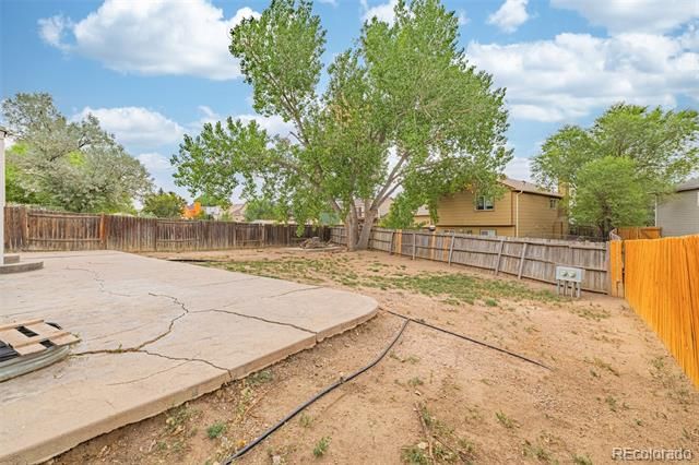 914 Daffodil Street, Fountain, CO 80817