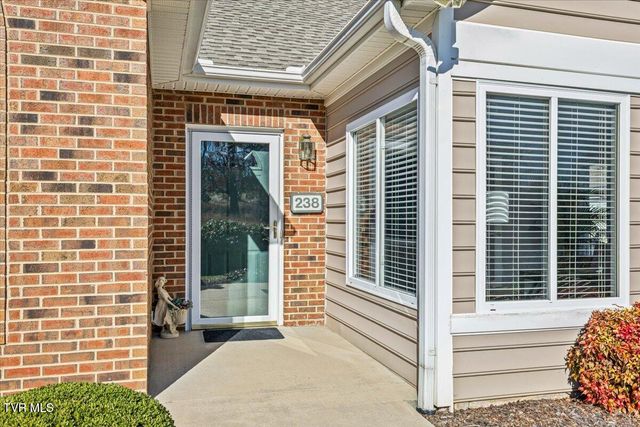 238 Avonlea Place 2-D, Johnson City, TN 37604