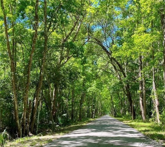 5225 S Covewood Terrace, Floral City, FL 34436