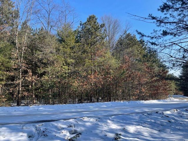 9098 Forest Pines Drive, Mecosta, MI 49332