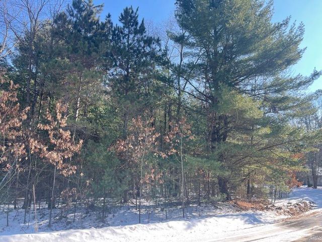 9098 Forest Pines Drive, Mecosta, MI 49332