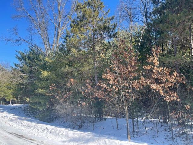 9098 Forest Pines Drive, Mecosta, MI 49332