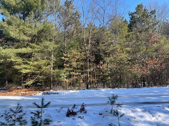 9098 Forest Pines Drive, Mecosta, MI 49332