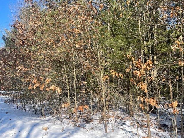 9098 Forest Pines Drive, Mecosta, MI 49332