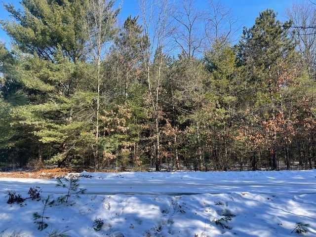 9098 Forest Pines Drive, Mecosta, MI 49332