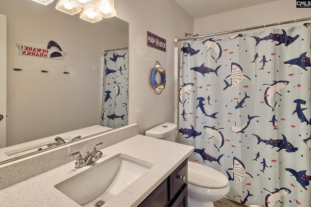 204 Platinum Drive, Lexington, SC 29072