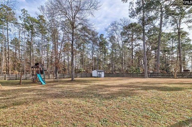 204 Platinum Drive, Lexington, SC 29072