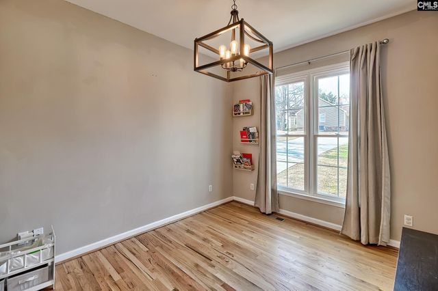 204 Platinum Drive, Lexington, SC 29072