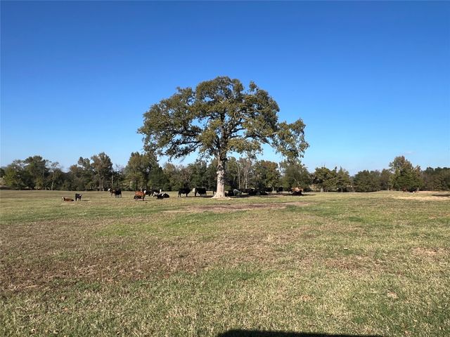 8919 CR 2310, Sulphur Springs, TX 75482