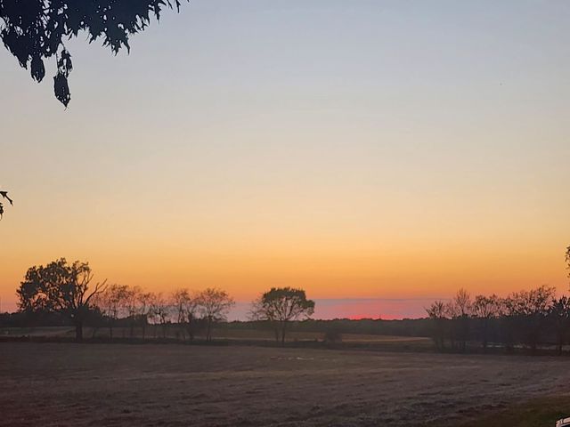 8919 CR 2310, Sulphur Springs, TX 75482