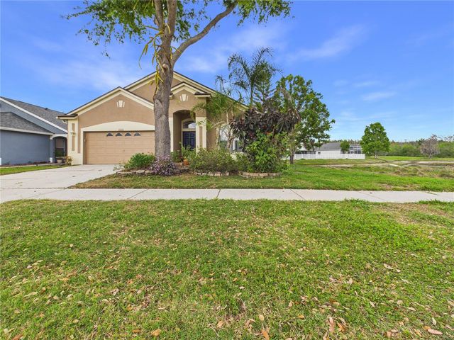17353 LAWN ORCHID LOOP, Land O Lakes, FL 34638