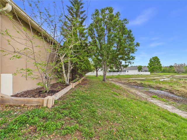 17353 LAWN ORCHID LOOP, Land O Lakes, FL 34638