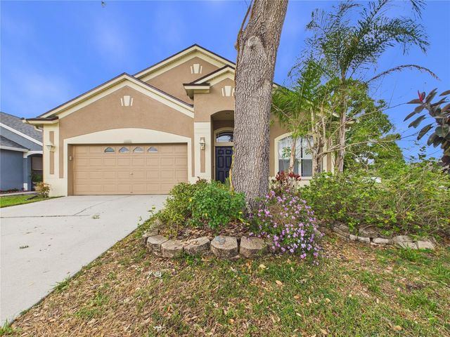 17353 LAWN ORCHID LOOP, Land O Lakes, FL 34638