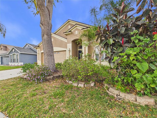 17353 LAWN ORCHID LOOP, Land O Lakes, FL 34638