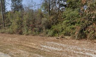 Octavia Street, Ocean Springs, MS 39564