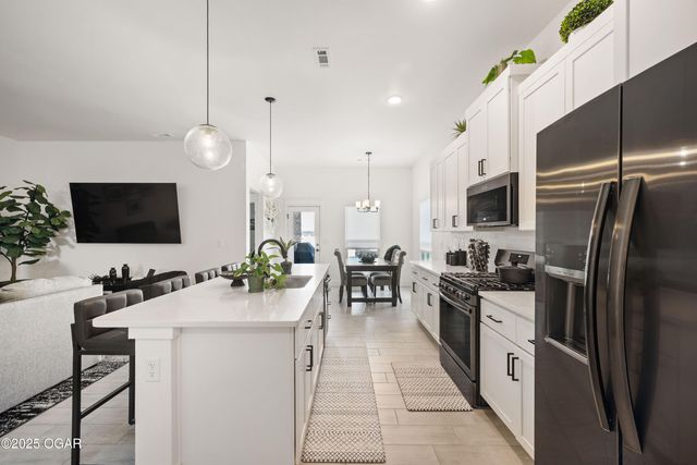 313 Molly Dean Drive, Duenweg, MO 64841