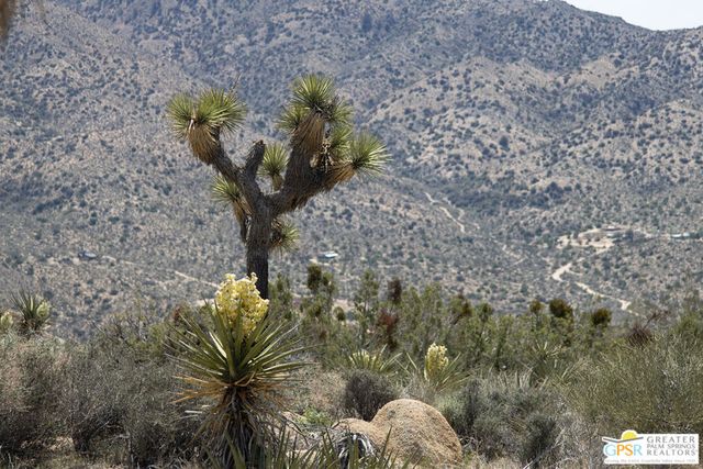 53765 RIDGE Road, Yucca Valley, CA 92284