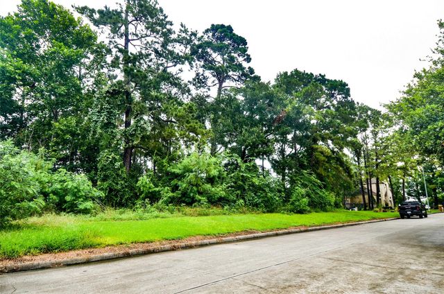 19403 Aquatic Drive, Houston, TX 77346