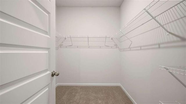 174 White Spruce Way, Newnan, GA 30265