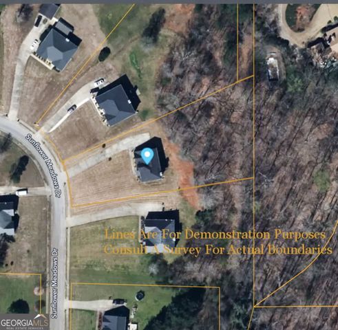 132 Sunflower Meadows Drive, Mcdonough, GA 30252