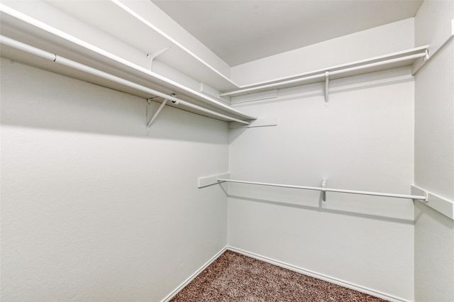 10728 N Platt River DR, Austin, TX 78748