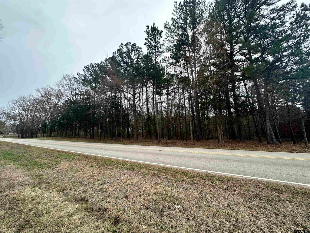 0 County Road 168, Flint, TX 75762