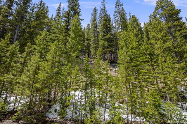 1 Nebraska Circle, Idaho Springs, CO 80452