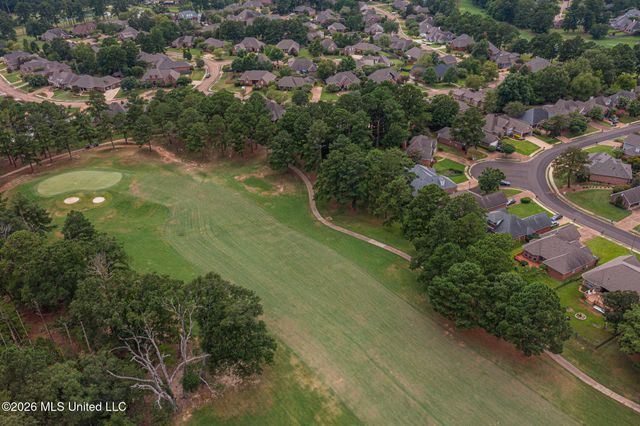 160 Apple Blossom Drive, Brandon, MS 39047