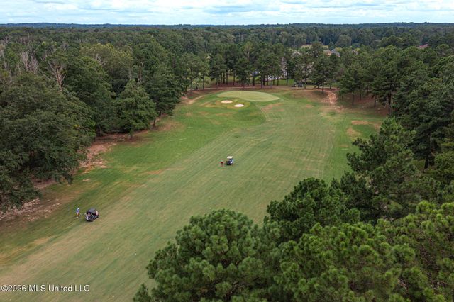 160 Apple Blossom Drive, Brandon, MS 39047