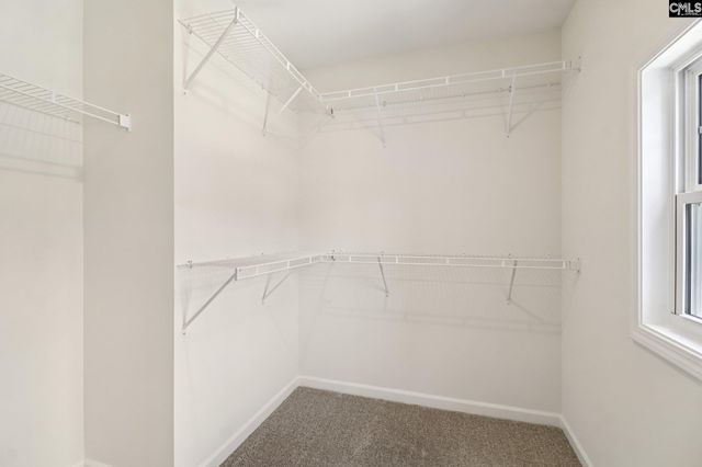 237 Forgotten Trail, Lexington, SC 29072