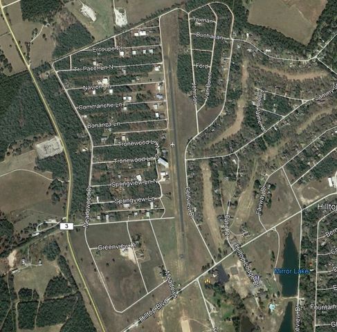 Lot 16 Blackgum, Normangee, TX 77871