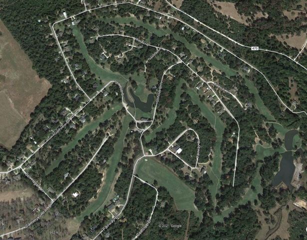 Lot 16 Blackgum, Normangee, TX 77871