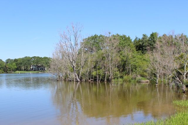Lot 16 Blackgum, Normangee, TX 77871