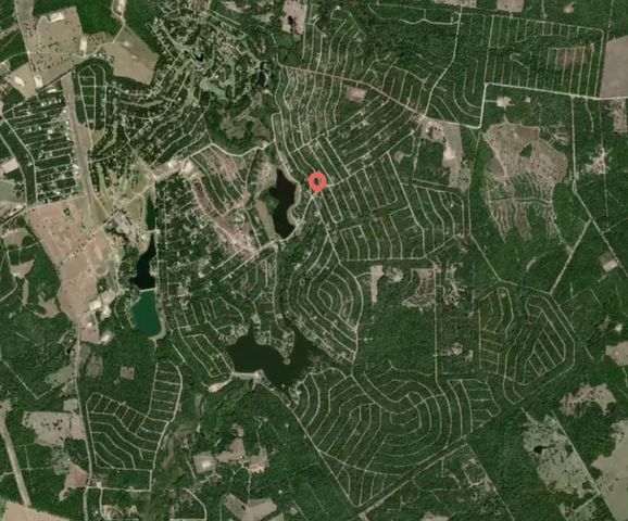 Lot 16 Blackgum, Normangee, TX 77871