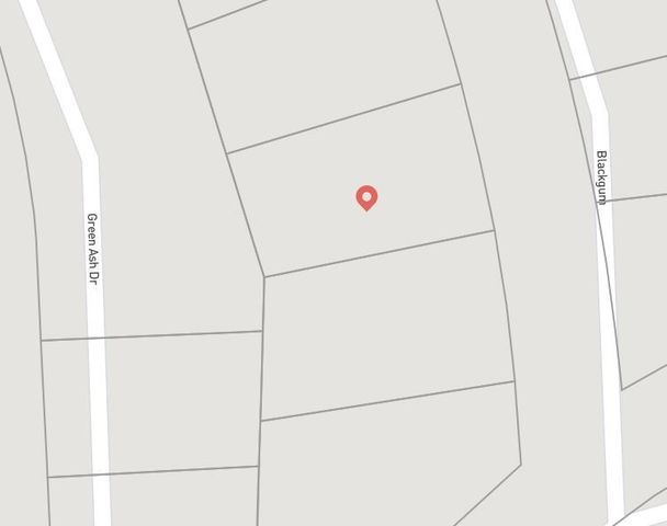 Lot 16 Blackgum, Normangee, TX 77871