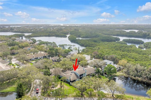 812 AMELIA COURT NE, St Petersburg, FL 33702