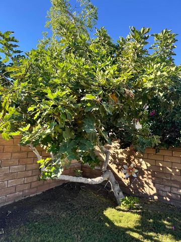 82774 Matthau Drive, Indio, CA 92201