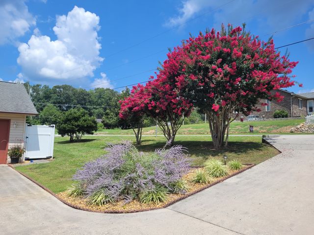 148 Brandi Way, Winchester, TN 37398