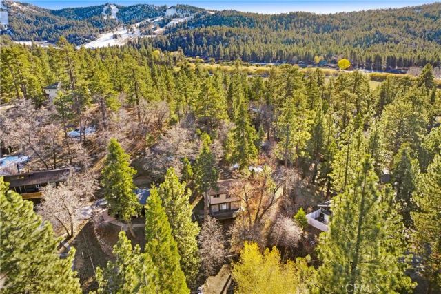 43103 Grizzly, Big Bear Lake, CA 92315