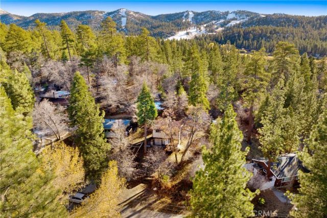 43103 Grizzly, Big Bear Lake, CA 92315