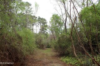Lot 6 Frank Snell Road, Moss Point, MS 39562