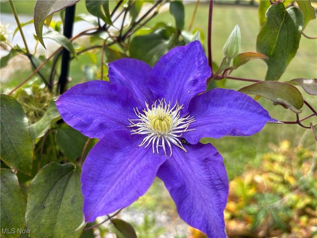 11838 Brosius Road, Garrettsville, OH 44231